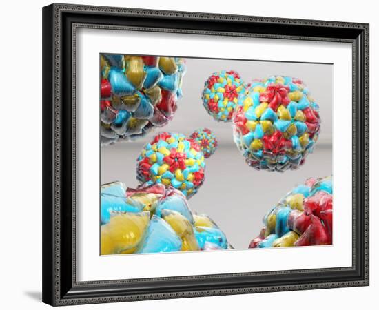 Rhinovirus Particles-Laguna Design-Framed Photographic Print