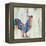 Rhizome Rooster-Ann Marie Coolick-Framed Stretched Canvas