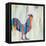 Rhizome Rooster-Ann Marie Coolick-Framed Stretched Canvas