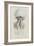 Rhizophora, Tenby, 1854: Barrel Jellyfish-Philip Henry Gosse-Framed Giclee Print