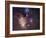 Rho Ophiuchi Nebula-Stocktrek Images-Framed Photographic Print