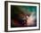 Rho Ophiuchi Nebula-Stocktrek Images-Framed Photographic Print