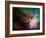 Rho Ophiuchi Nebula-Stocktrek Images-Framed Photographic Print