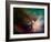 Rho Ophiuchi Nebula-Stocktrek Images-Framed Photographic Print