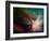 Rho Ophiuchi Nebula-Stocktrek Images-Framed Photographic Print