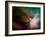 Rho Ophiuchi Nebula-Stocktrek Images-Framed Photographic Print