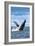 Rhode Island, Humpback Whale-Lantern Press-Framed Art Print