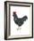 Rhode Island Red (Gallus Gallus Domesticus), Rooster, Poultry, Birds-Encyclopaedia Britannica-Framed Art Print