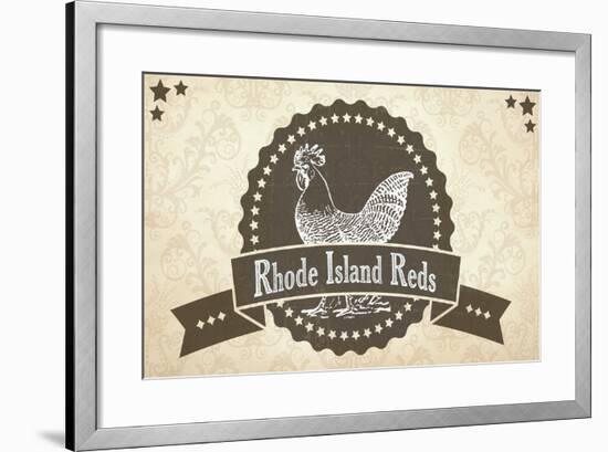 Rhode Island Reds 3-null-Framed Giclee Print