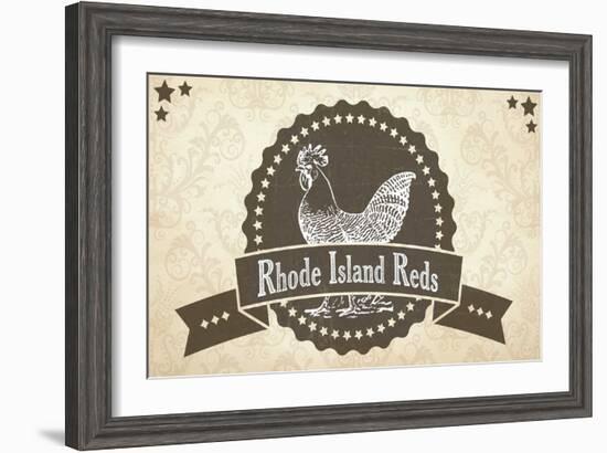 Rhode Island Reds 3-null-Framed Giclee Print