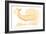 Rhode Island - Whale - Yellow - Coastal Icon-Lantern Press-Framed Premium Giclee Print