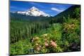 Premium Photographic Print