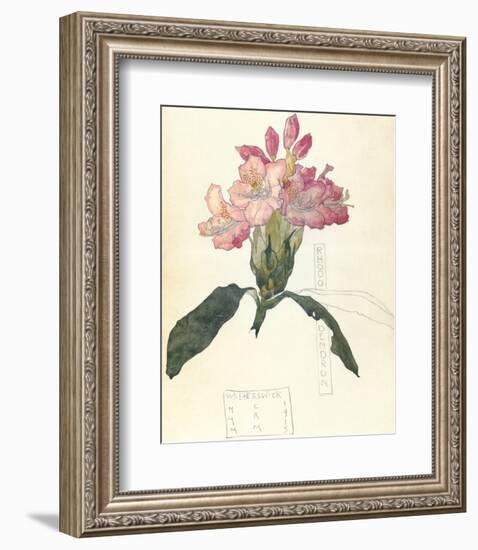 Rhodendron-Charles Rennie Mackintosh-Framed Premium Giclee Print