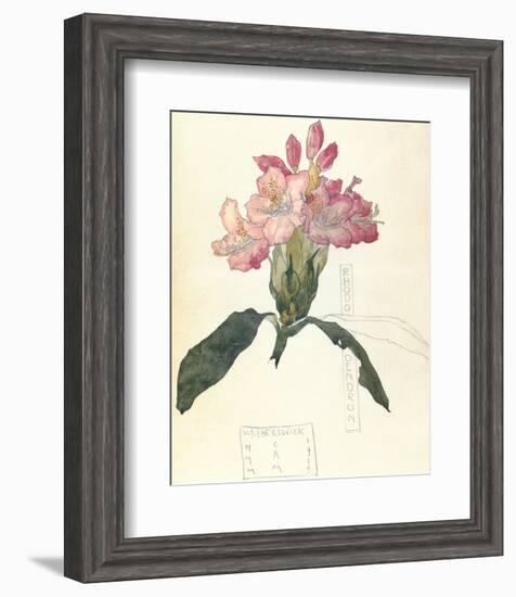 Rhodendron-Charles Rennie Mackintosh-Framed Premium Giclee Print