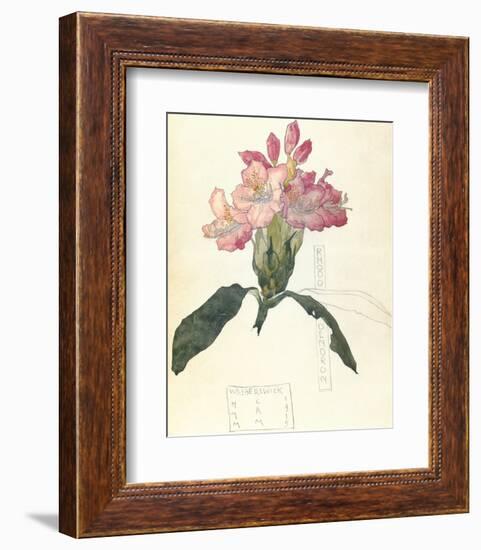 Rhodendron-Charles Rennie Mackintosh-Framed Premium Giclee Print