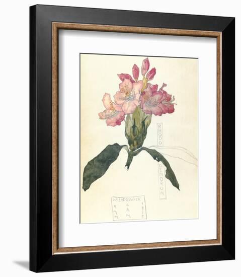 Rhodendron-Charles Rennie Mackintosh-Framed Premium Giclee Print