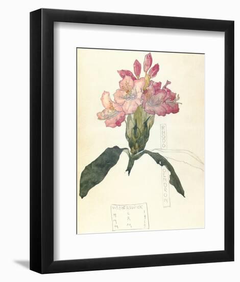 Rhodendron-Charles Rennie Mackintosh-Framed Premium Giclee Print