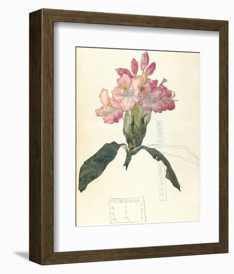 Rhodendron-Charles Rennie Mackintosh-Framed Premium Giclee Print