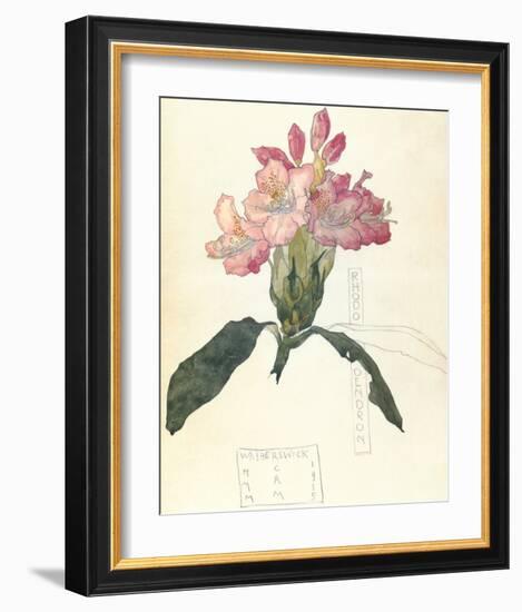 Rhodendron-Charles Rennie Mackintosh-Framed Premium Giclee Print