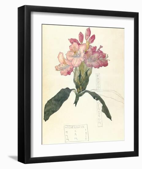 Rhodendron-Charles Rennie Mackintosh-Framed Premium Giclee Print