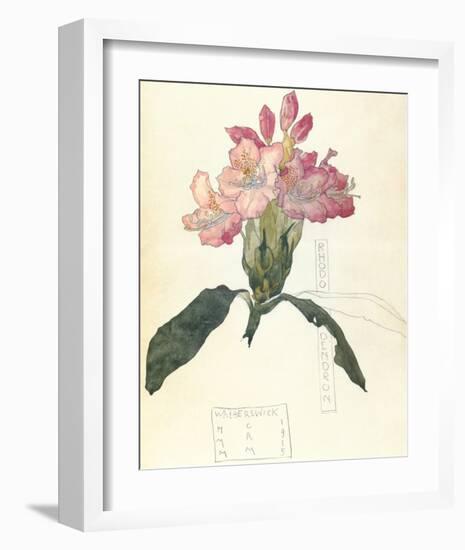 Rhodendron-Charles Rennie Mackintosh-Framed Premium Giclee Print