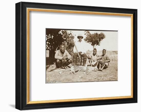 Rhodesia - Zimbabwe - Cheetah Hunting-null-Framed Photographic Print