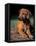 Rhodesian Ridgeback Puppy-Adriano Bacchella-Framed Premier Image Canvas