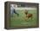 Rhodesian Ridgeback Running in a Field-Petra Wegner-Framed Premier Image Canvas