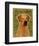 Rhodesian Ridgeback-John W^ Golden-Framed Art Print