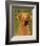 Rhodesian Ridgeback-John W^ Golden-Framed Art Print