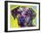 Rhodesian Ridgeback-Dean Russo-Framed Premium Giclee Print