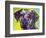 Rhodesian Ridgeback-Dean Russo-Framed Giclee Print