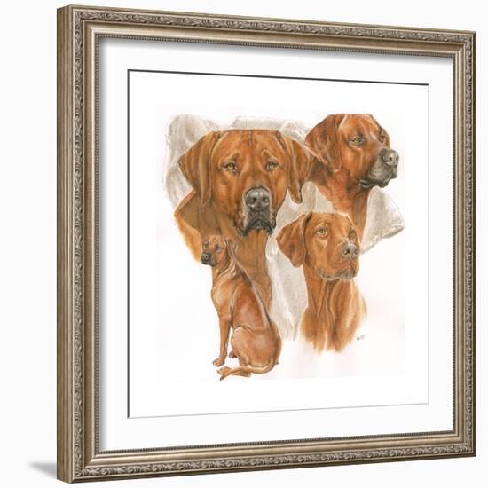 Rhodisian Ridgeback-Barbara Keith-Framed Giclee Print