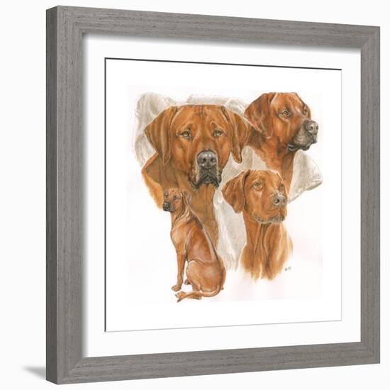 Rhodisian Ridgeback-Barbara Keith-Framed Giclee Print