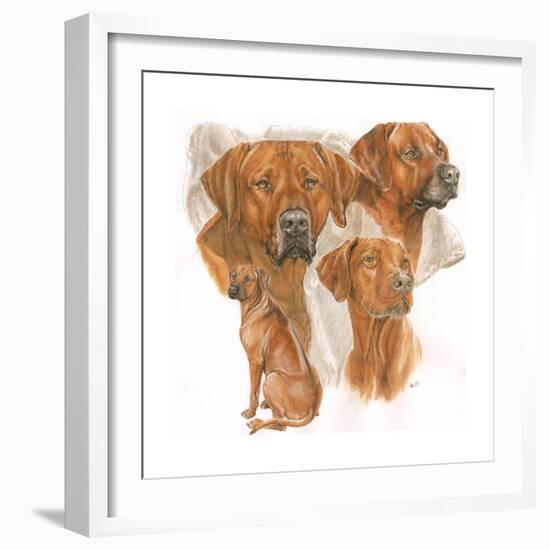 Rhodisian Ridgeback-Barbara Keith-Framed Giclee Print