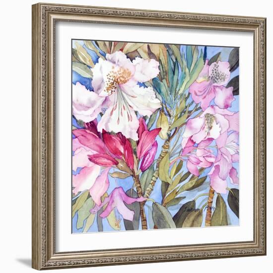 Rhododendron I-Sharon Pitts-Framed Giclee Print