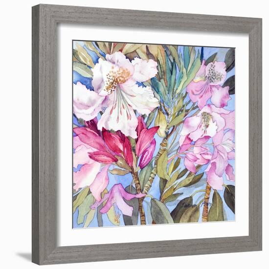 Rhododendron I-Sharon Pitts-Framed Giclee Print