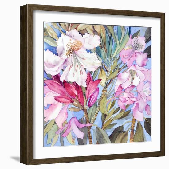 Rhododendron I-Sharon Pitts-Framed Giclee Print