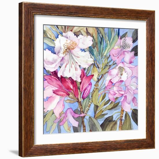 Rhododendron I-Sharon Pitts-Framed Giclee Print