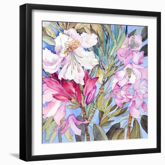 Rhododendron I-Sharon Pitts-Framed Giclee Print