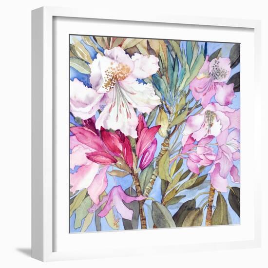 Rhododendron I-Sharon Pitts-Framed Giclee Print