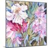 Rhododendron I-Sharon Pitts-Mounted Giclee Print