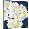 Rhododendron II-Kari Taylor-Mounted Giclee Print