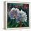 Rhododendron Portrait I-Anne Farrall Doyle-Framed Stretched Canvas