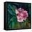 Rhododendron Portrait II-Anne Farrall Doyle-Framed Stretched Canvas