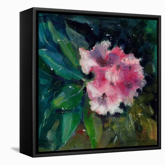 Rhododendron Portrait II-Anne Farrall Doyle-Framed Stretched Canvas