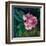 Rhododendron Portrait II-Anne Farrall Doyle-Framed Art Print