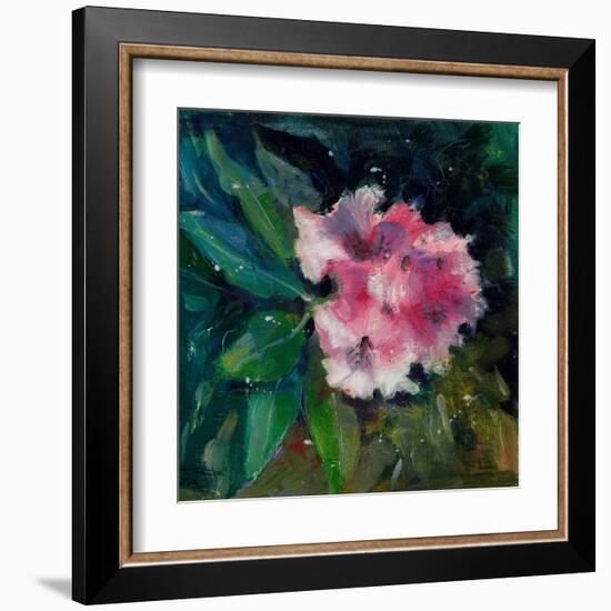 Rhododendron Portrait II-Anne Farrall Doyle-Framed Art Print