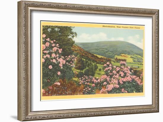 Rhododendron, State Flower of West Virginia-null-Framed Art Print