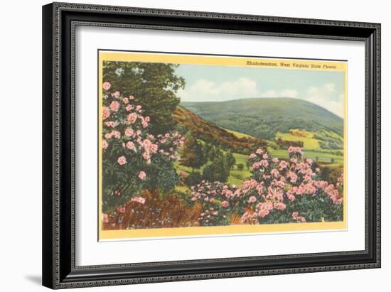 Rhododendron, State Flower of West Virginia-null-Framed Art Print